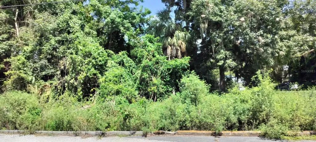 1980 S Tsala Terrace Inverness FL 34450