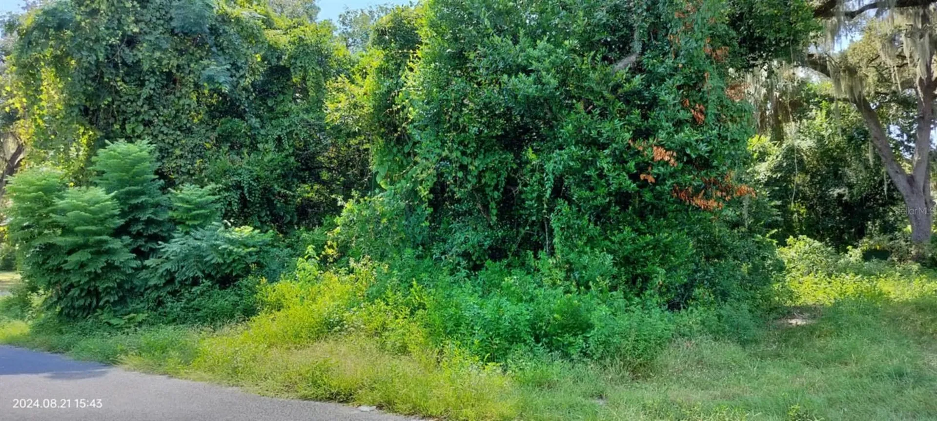 1980 S Tsala Terrace Inverness FL 34450