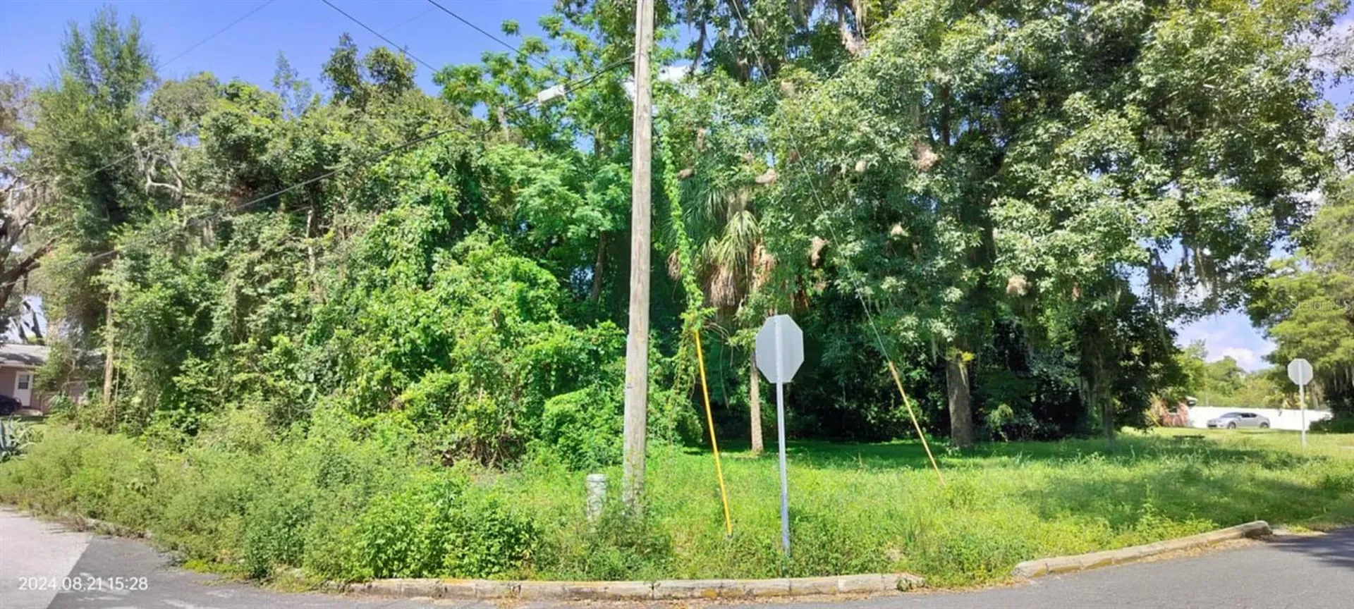 1980 S Tsala Terrace Inverness FL 34450