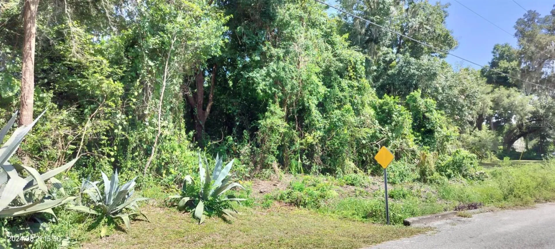 1980 S Tsala Terrace Inverness FL 34450
