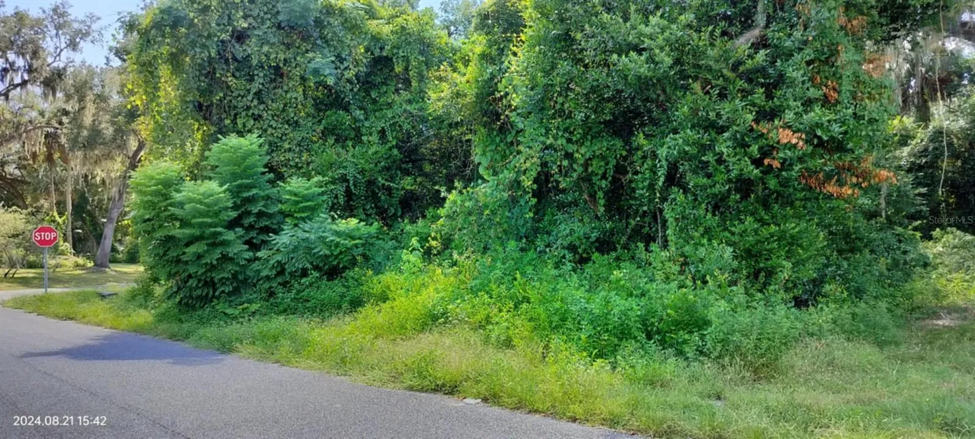 1980 S Tsala Terrace Inverness FL 34450