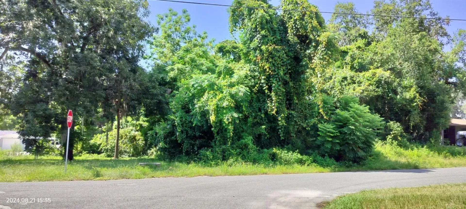 1980 S Tsala Terrace Inverness FL 34450