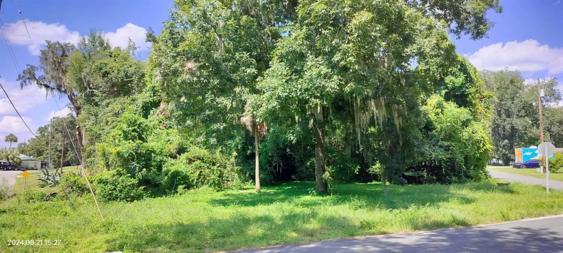 1980 S Tsala Terrace Inverness FL 34450