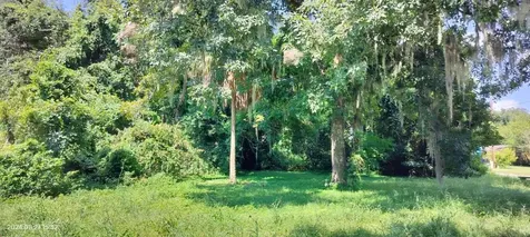 1980 S Tsala Terrace Inverness FL 34450