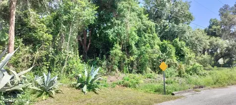 1980 S Tsala Terrace Inverness FL 34450
