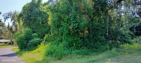 1980 S Tsala Terrace Inverness FL 34450