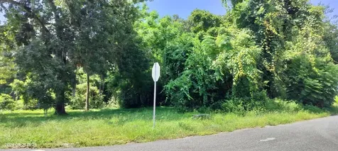 1980 S Tsala Terrace Inverness FL 34450