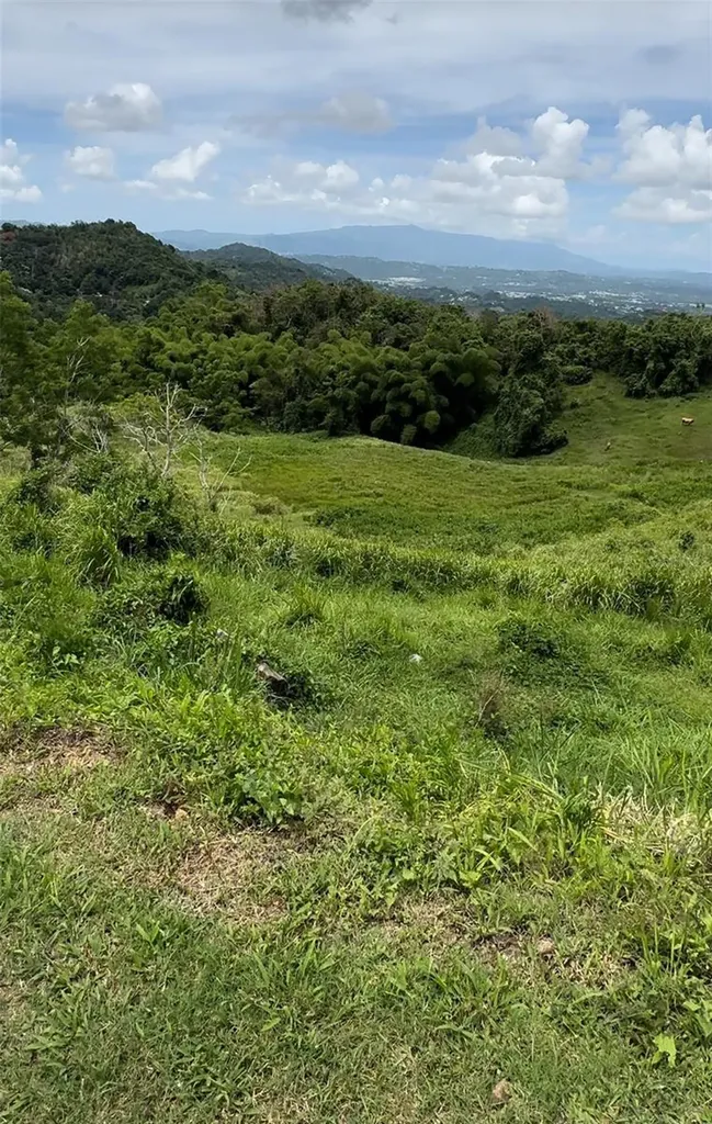 87.29 Cuerdas Bo.quemados Carr 7788 Km Hm 2.2 San Lorenzo PR 00754