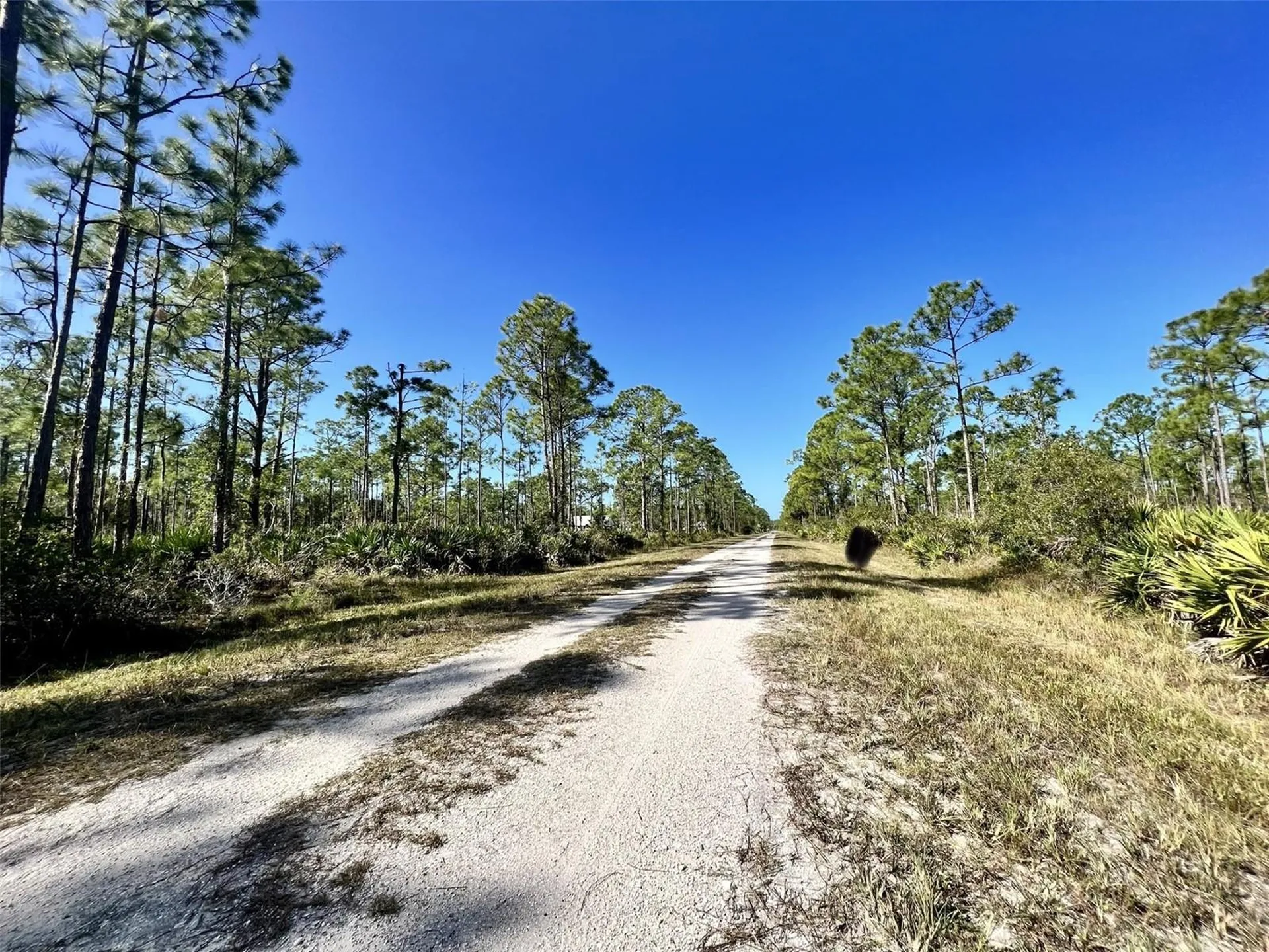 28060 Argyle Drive Punta Gorda FL 33955