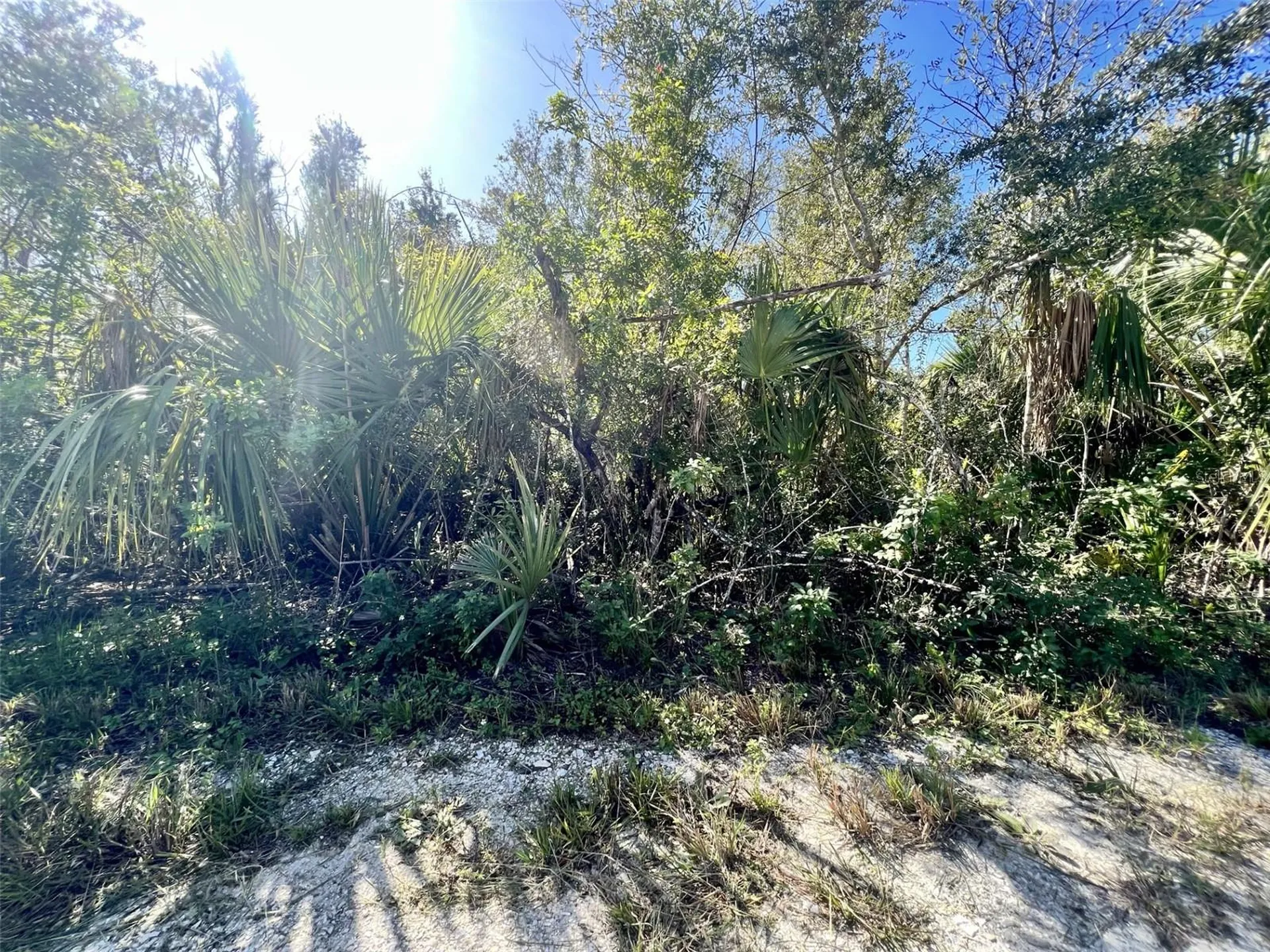 27275 Las Lomas Drive Punta Gorda FL 33955