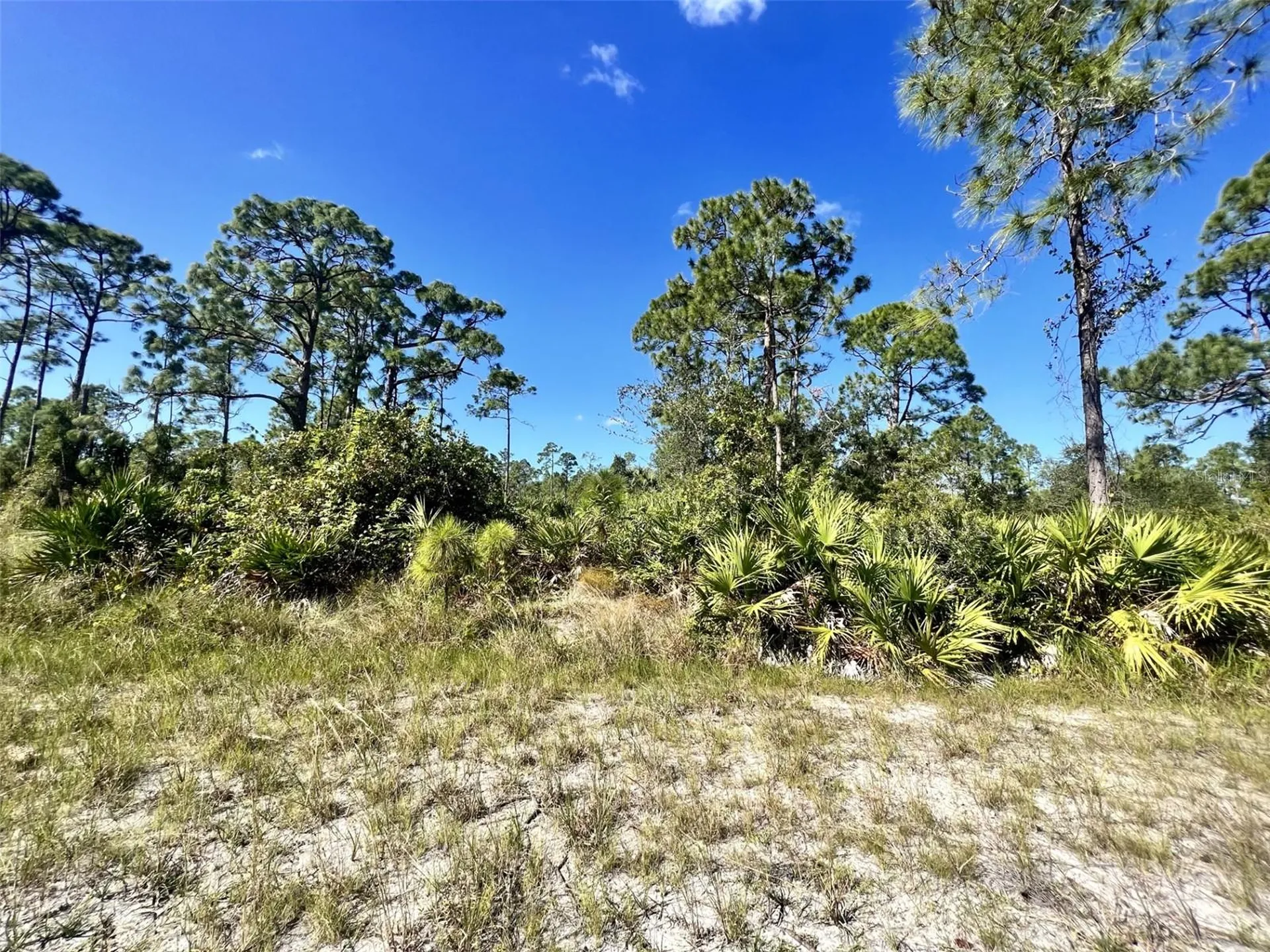 12247 Catridge Circle Punta Gorda FL 33955