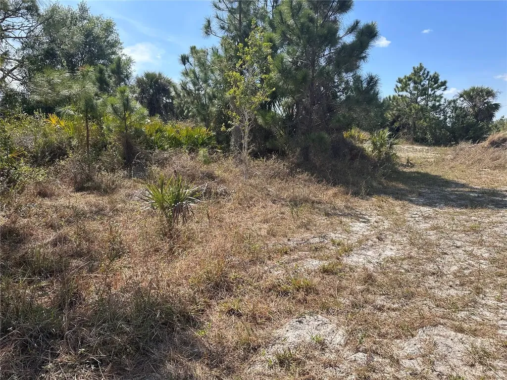 2817 56th Street W Lehigh Acres FL 33971