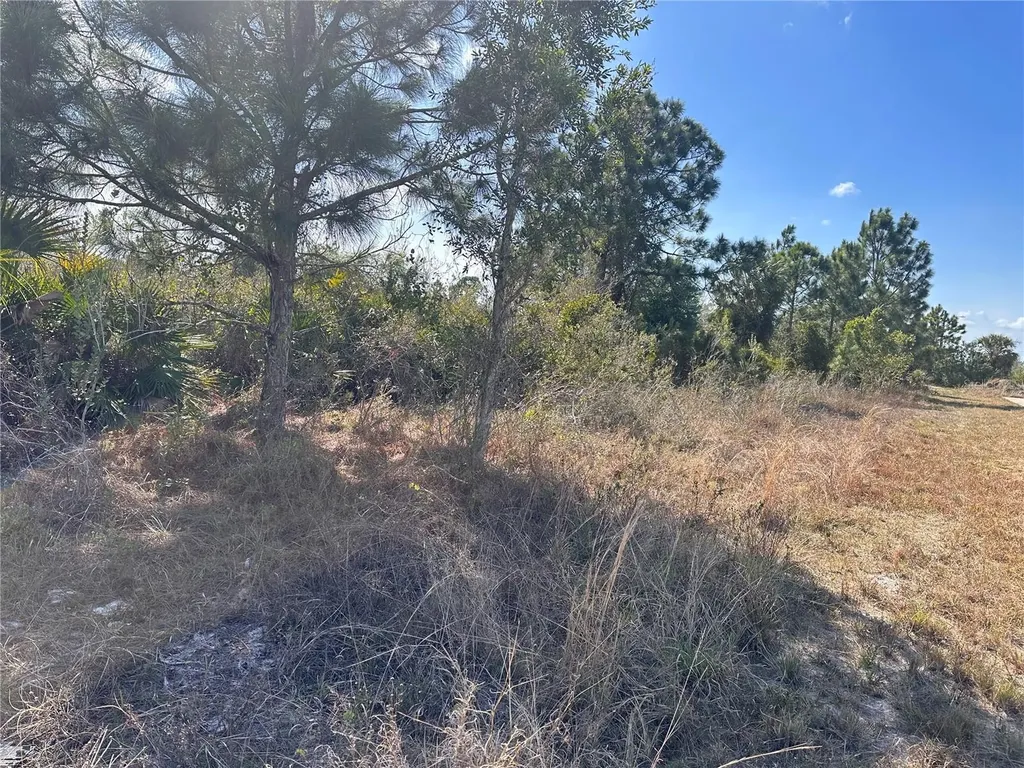 2817 56th Street W Lehigh Acres FL 33971