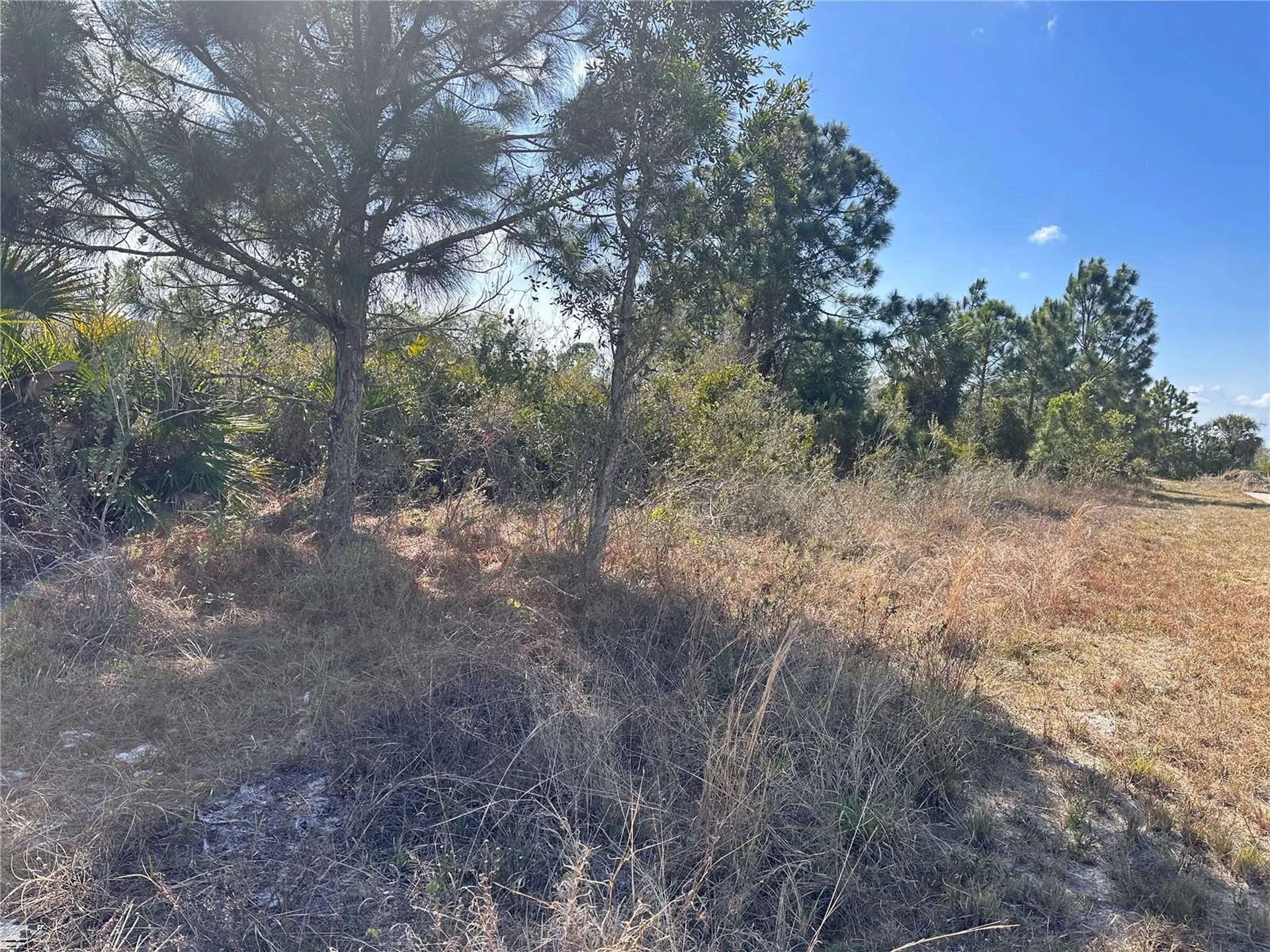 2817 56th Street W Lehigh Acres FL 33971