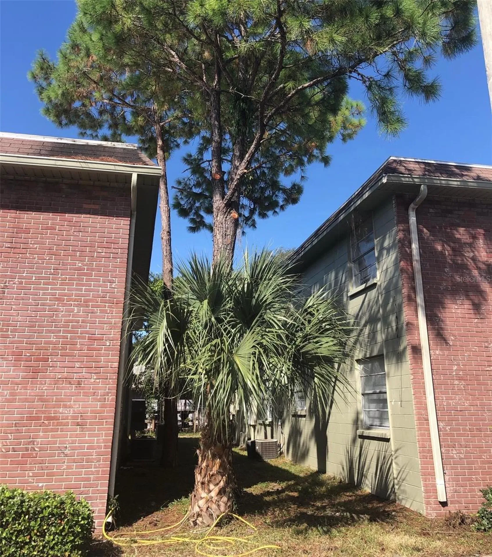13106 Leisurewood Place Tampa FL 33612