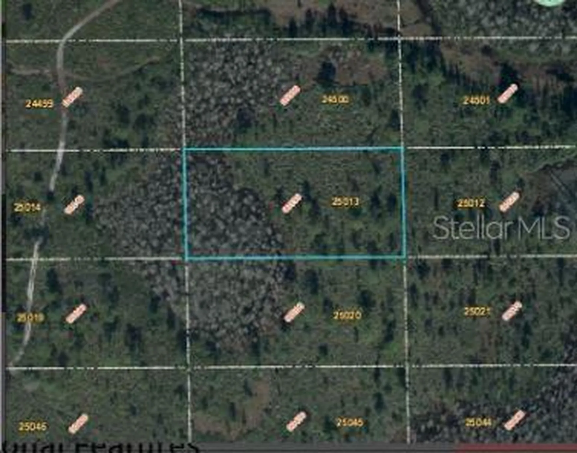 Dill Road Orlando FL 32820