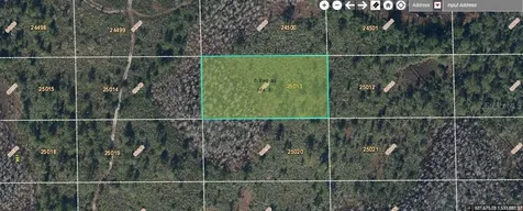 Dill Road Orlando FL 32820