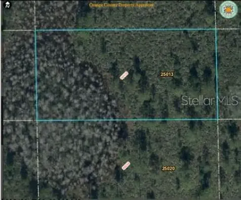Dill Road Orlando FL 32820