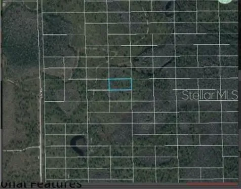 Dill Road Orlando FL 32820