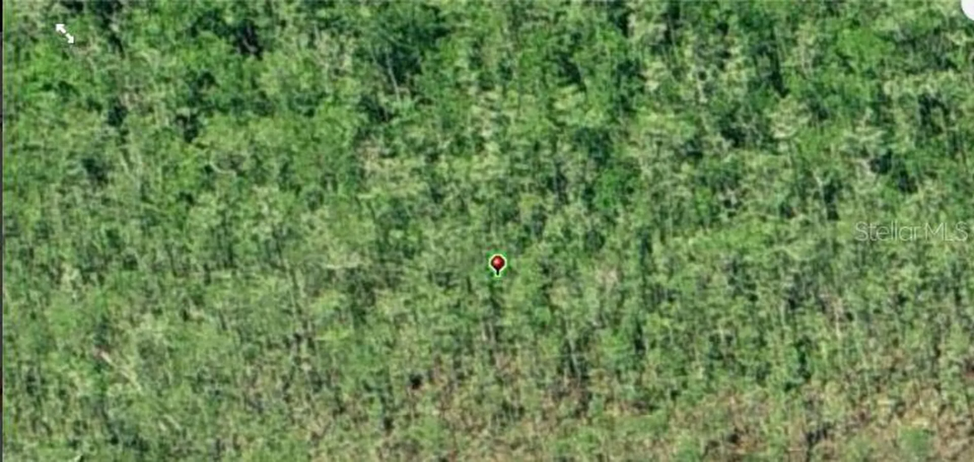 Dill Road Orlando FL 32820