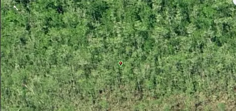 Dill Road Orlando FL 32820