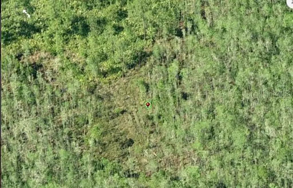 Dill Road Orlando FL 32820
