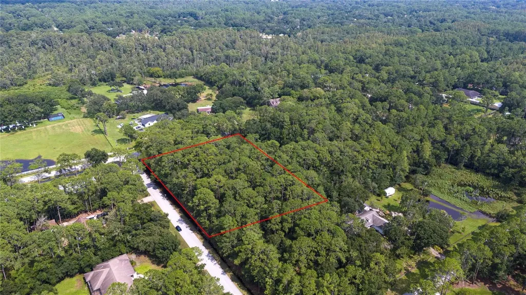 West Drive Wesley Chapel FL 33544
