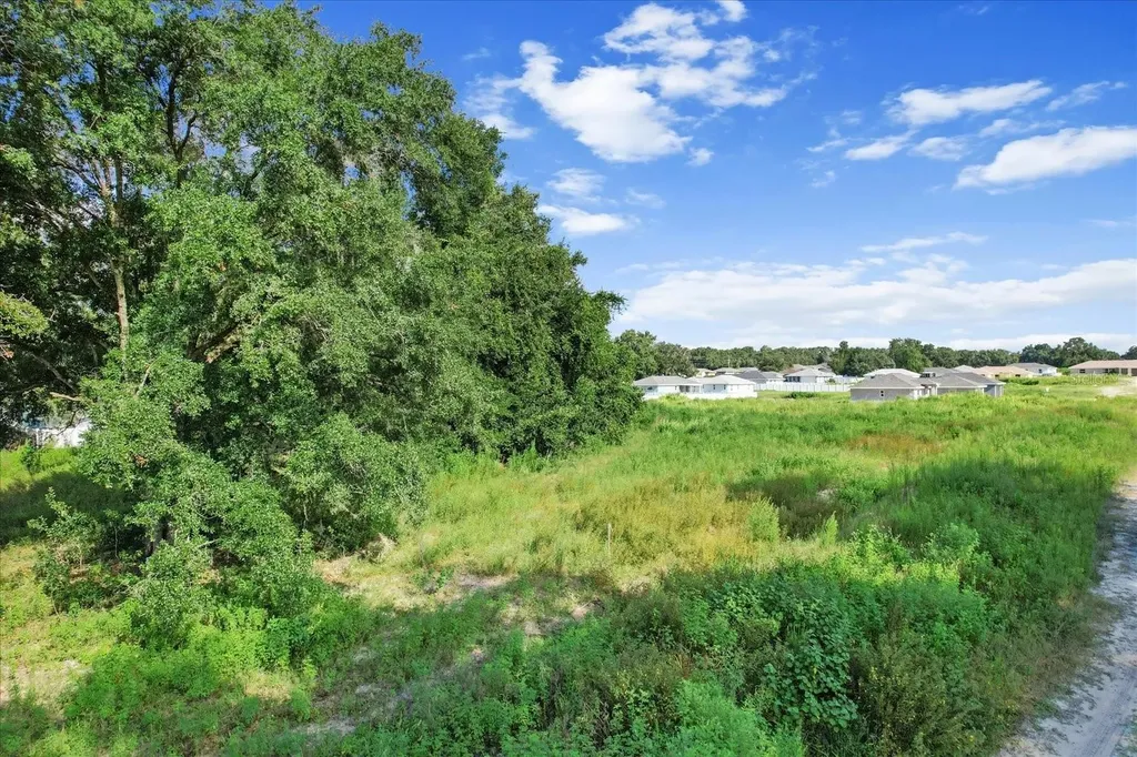 48 N Buchannon Terrace Inverness FL 34453