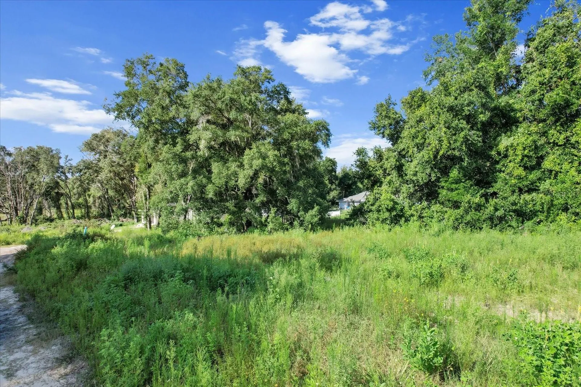 48 N Buchannon Terrace Inverness FL 34453