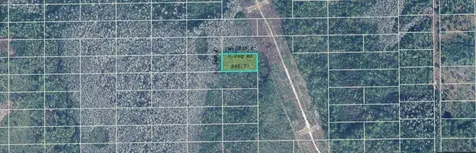 Dill Road Orlando FL 32820