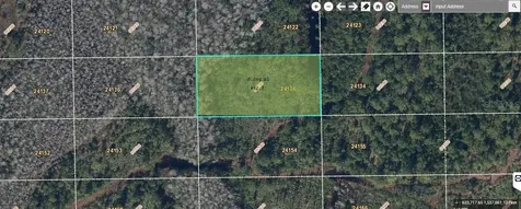 Dill Road Orlando FL 32820