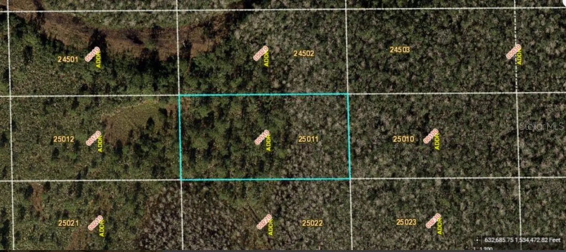 Dill Road Orlando FL 32820