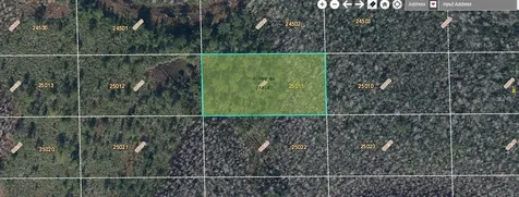 Dill Road Orlando FL 32820