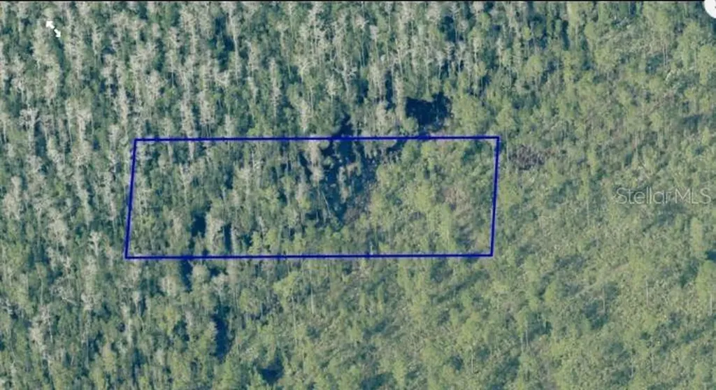 Dill Road Orlando FL 32820