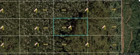 Dill Road Orlando FL 32820