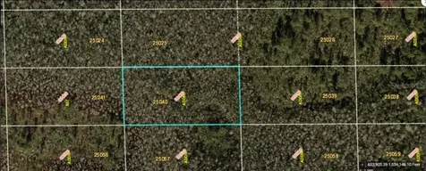 Dill Road Orlando FL 32820