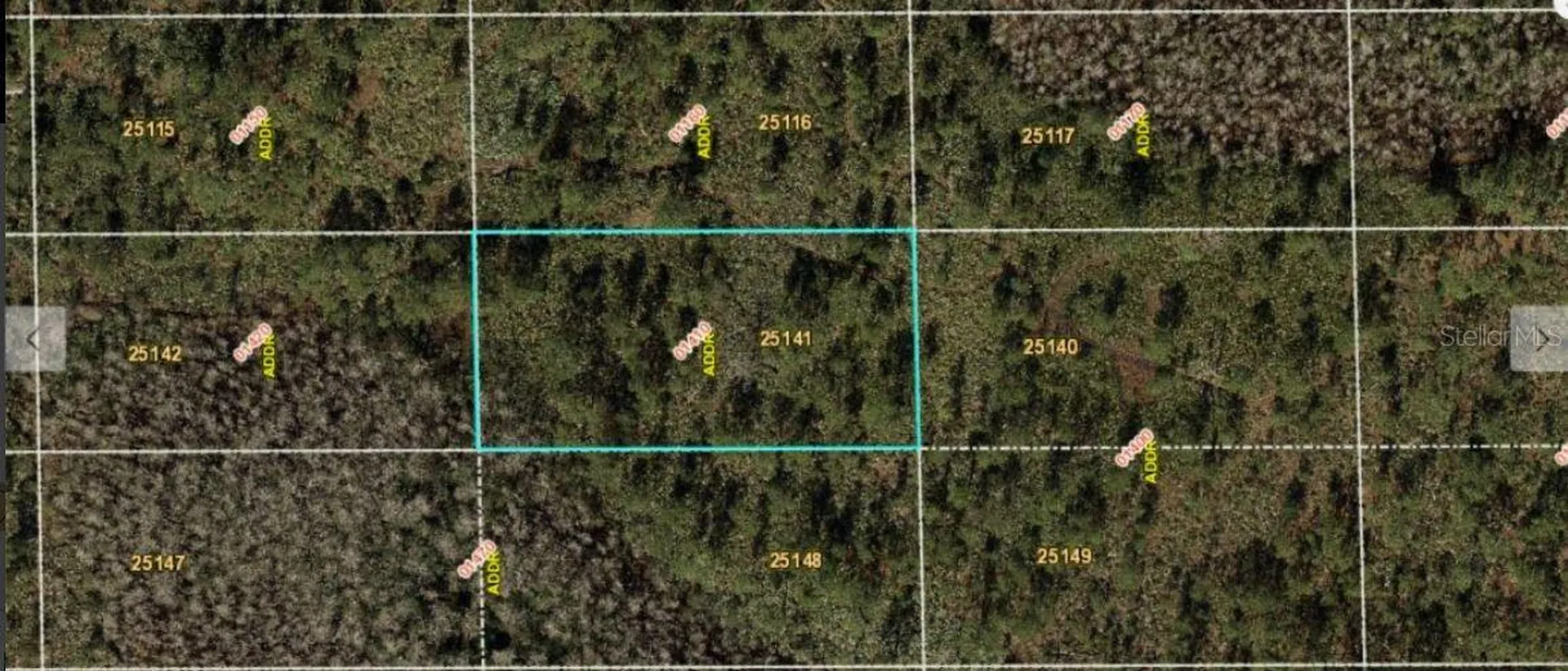 Dill Road Orlando FL 32820