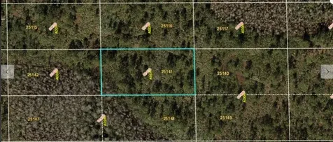 Dill Road Orlando FL 32820