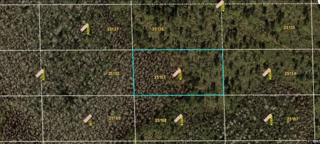 Dill Road Orlando FL 32820