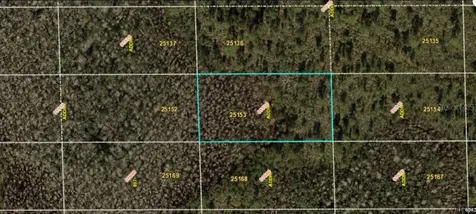 Dill Road Orlando FL 32820