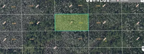 Dill Road Orlando FL 32820