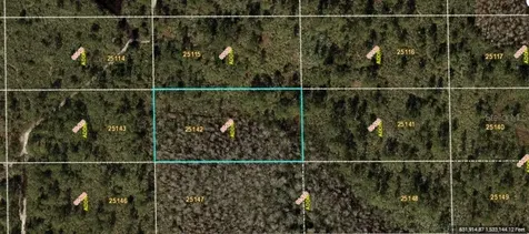Dill Road Orlando FL 32820