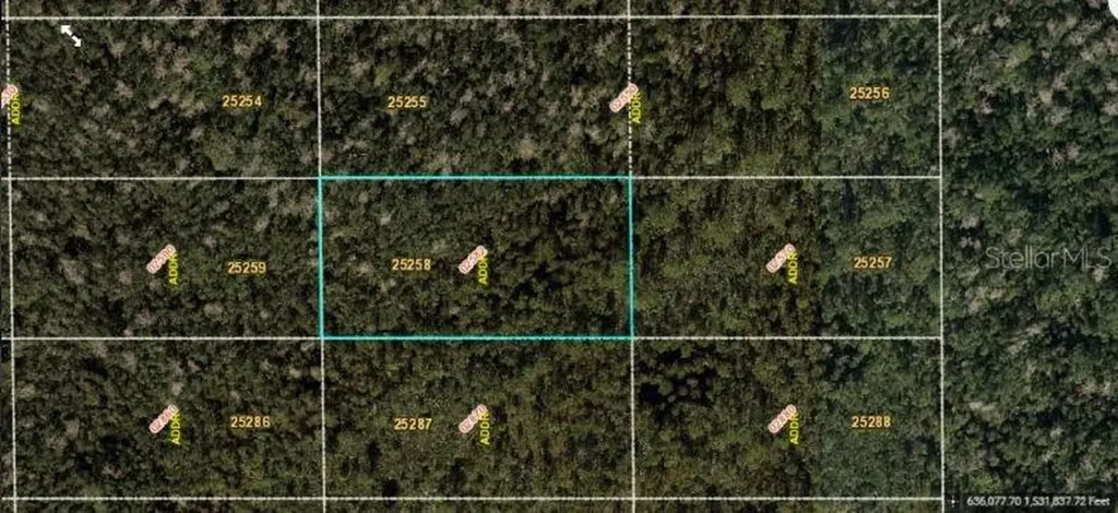 Dill Road Orlando FL 32820