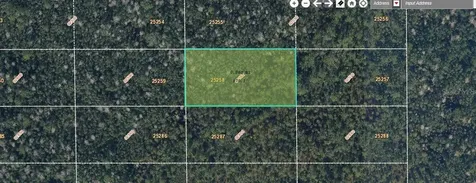Dill Road Orlando FL 32820