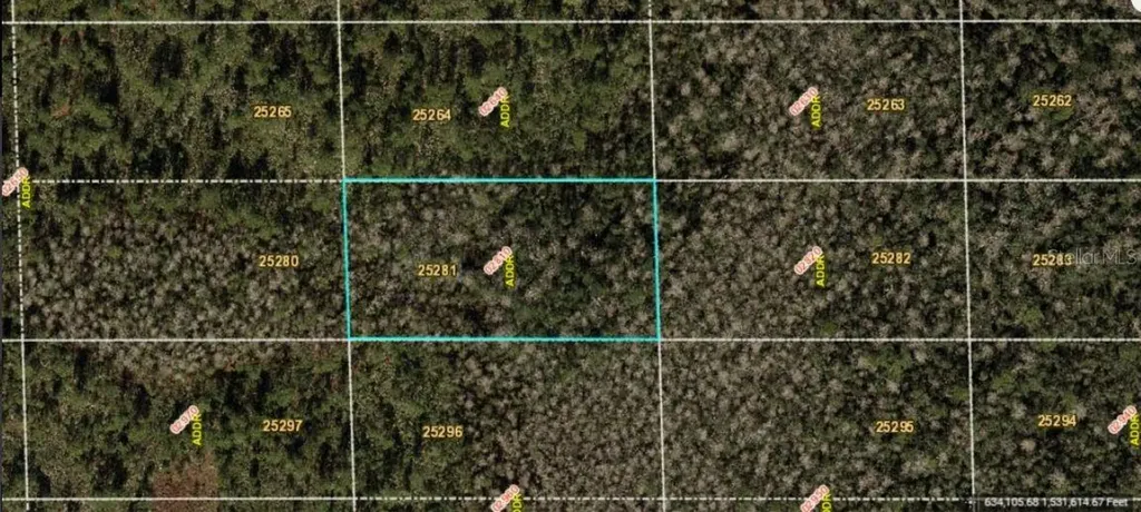 Dill Road Orlando FL 32820