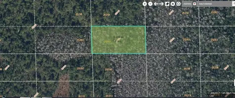 Dill Road Orlando FL 32820