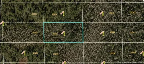 Dill Road Orlando FL 32820
