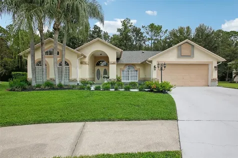 4870 Basswood Street Land O Lakes FL 34639