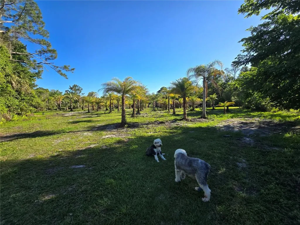 2615 Glencoe Farms Road New Smyrna Beach FL 32168