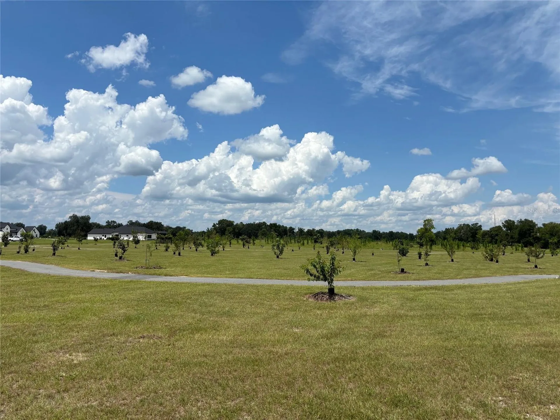 5890 SW 124th Way Archer FL 32618